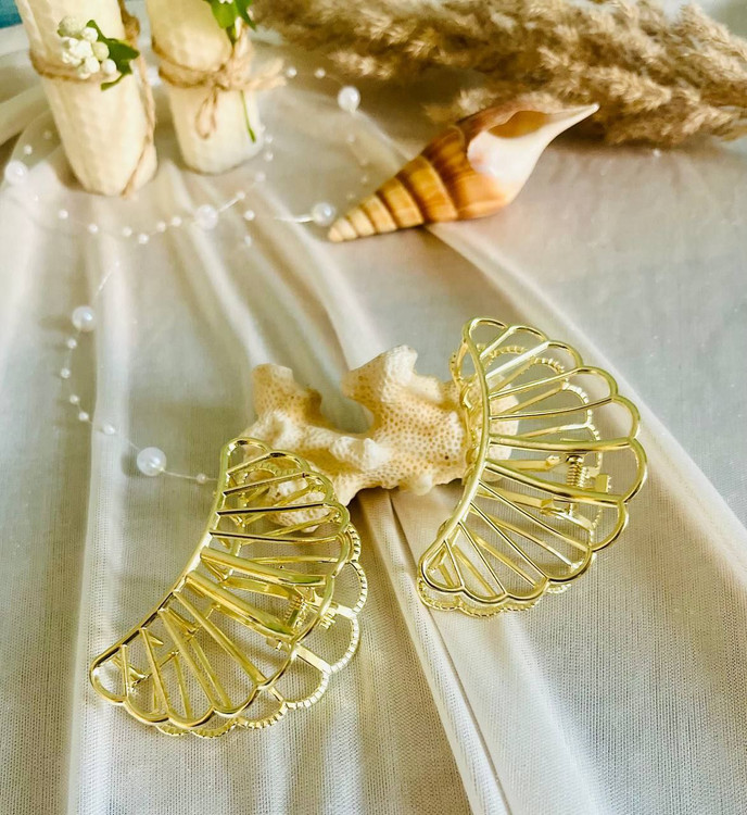 نمای کلیپس صدف