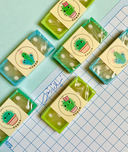 پاکن فانتزی طرح کاکتوس